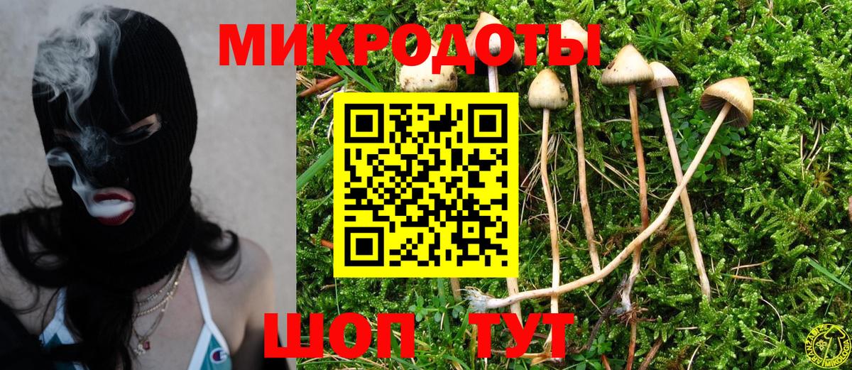 Торжок  как найти   Вход с VPN  Псилоцибиновые грибы Cubensis 