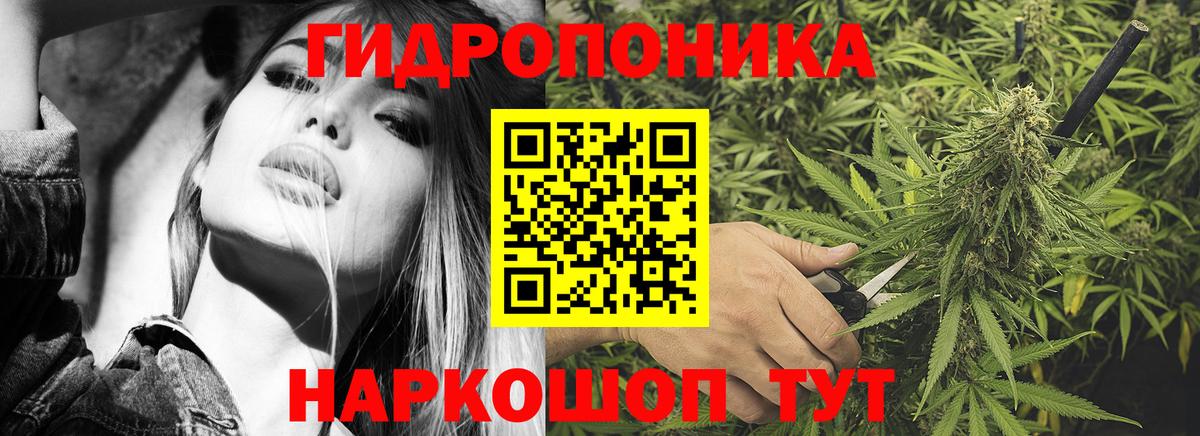 Торжок  Конопля гибрид  МАРИХУАНА ГИДРОПОН  Вход с VPN  Бошки марихуана ГИДРОПОН  Бошки марихуана AK-47 